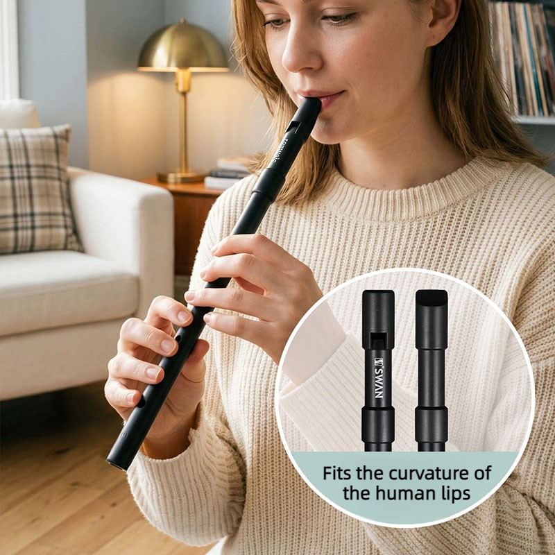Penny Whistle D - Fisarmonica in C/D per Principianti, Fisarmonica