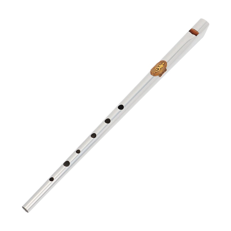 Tin Whistle Flute - Chiave D/C Fischietto di latta Studente
