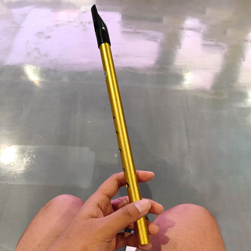Tin Whistle Flute - Flauto a 6 Fori per Studenti