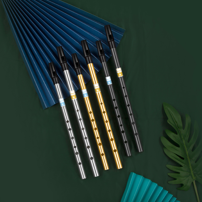 Flauto con fischio irlandese p - Tin Whistle Flute recensione e prezzo
