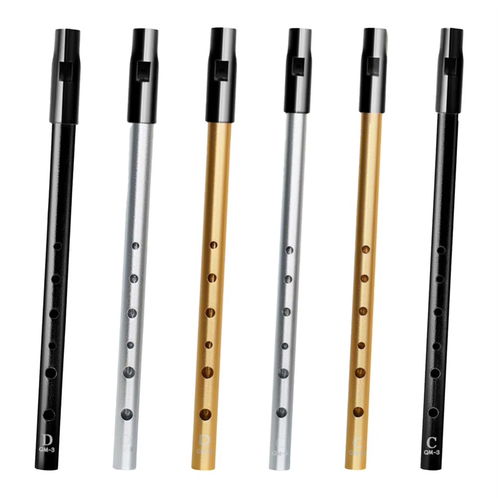 Flauto Irlandese in Tonalità C - Tin Whistle Flute recensione e prezzo