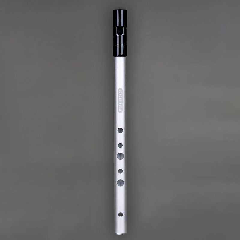 Fisarmonica a 6 Fori in Tonali - Tin Whistle Flute recensione e prezzo
