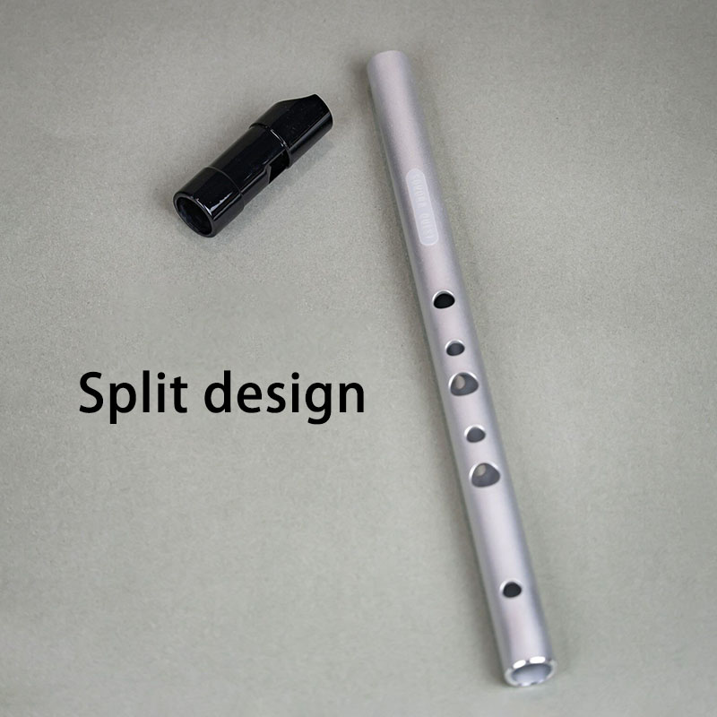 Fisarmonica a 6 Fori in Tonali - Tin Whistle Flute recensione e prezzo