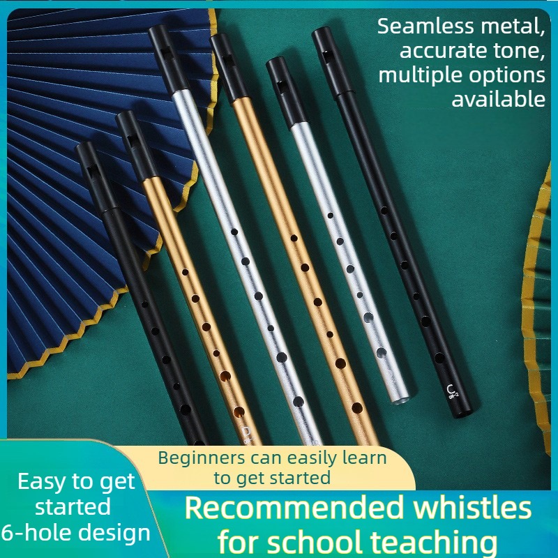 1 Pezzo Fisarmonica Irlandese  - Penny Whistle D recensione e prezzo