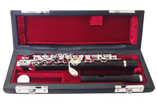 Piccolo in ebano con strumento - Musical Instrument Piccolo recensione e prezzo