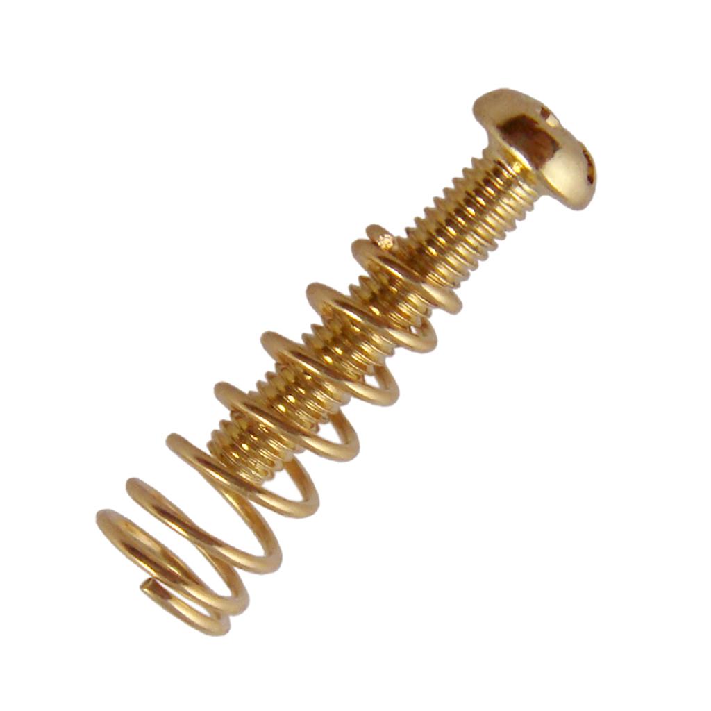 Viti per Ponte Tremolo a Molla - Musical Instrument Repair recensione e prezzo