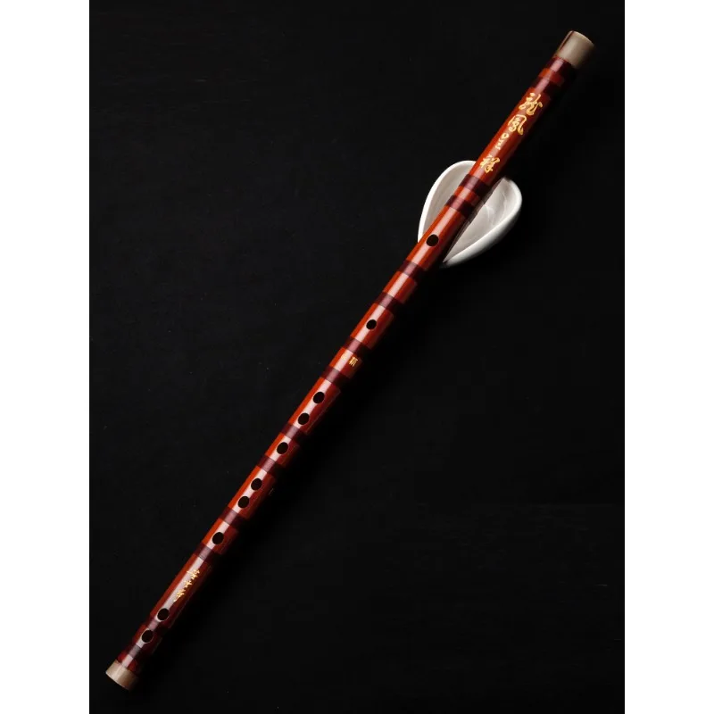 Flauto professionale, flauto d - Musical Instrument Ancient recensione e prezzo