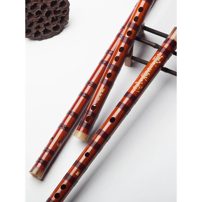 Flauto professionale, flauto d - Musical Instrument Ancient recensione e prezzo