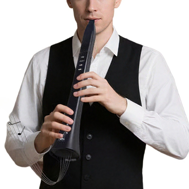 Strumento a fiato elettronico  - Musical Instrument For Beginners recensione e prezzo