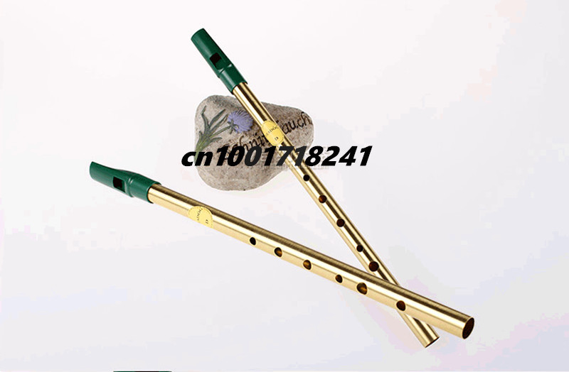 Ottone Irish Fischio Flauto Fe - Tin Whistle Flute recensione e prezzo