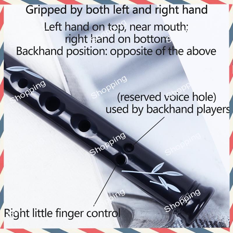 A44M 6 fori Irish Tin Penny Fi - Penny Whistle D recensione e prezzo