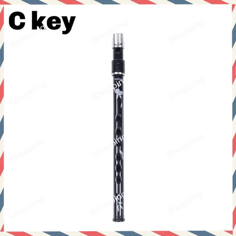 A44M 6 fori Irish Tin Penny Fi - Penny Whistle D recensione e prezzo