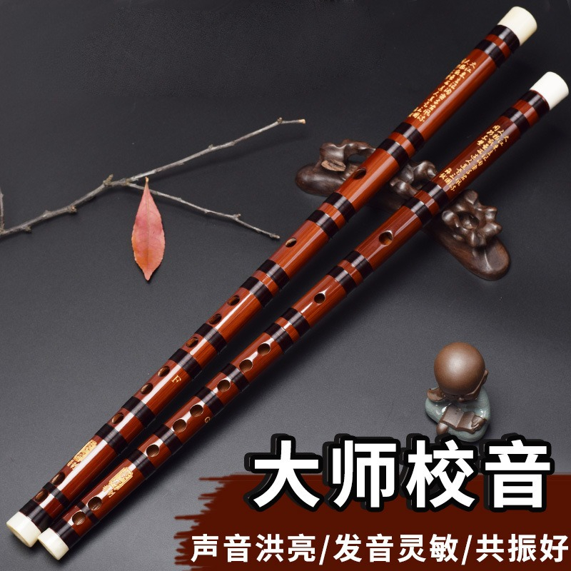 Flauto Dizi Professionale in B - Musical Instrument Easy To Learn For Adults recensione e prezzo