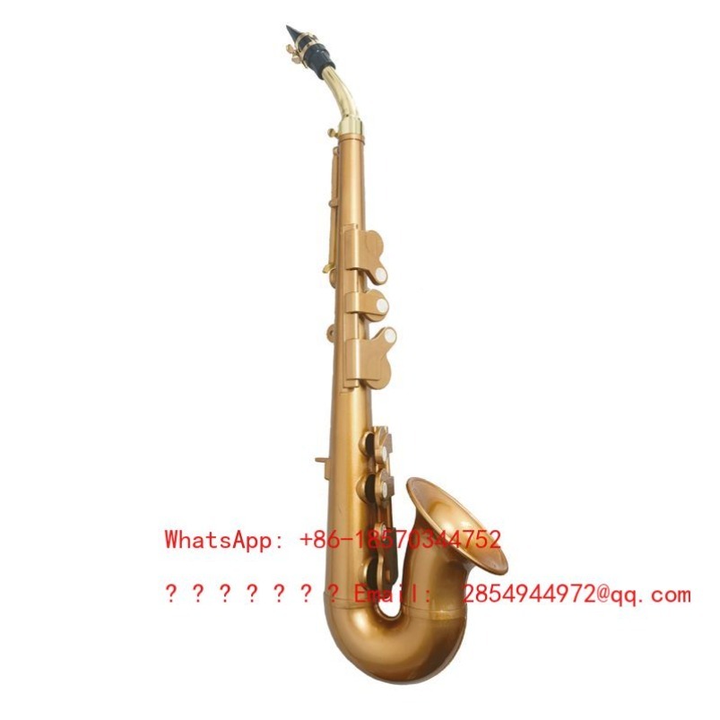 Sassofono in resina, strumento - Musical Instrument Easy To Learn For Adults recensione e prezzo