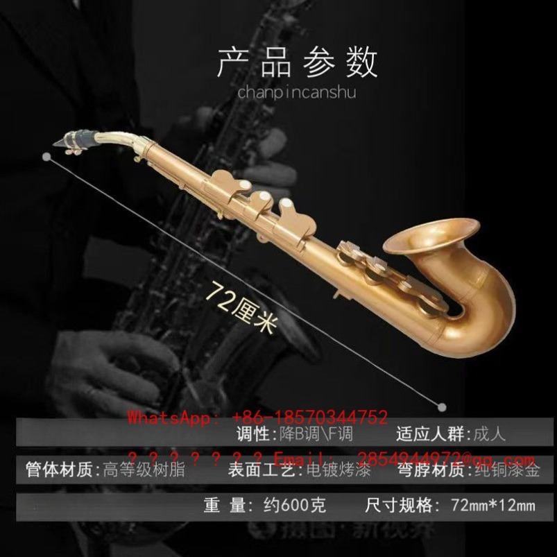Sassofono in resina, strumento - Musical Instrument Easy To Learn For Adults recensione e prezzo