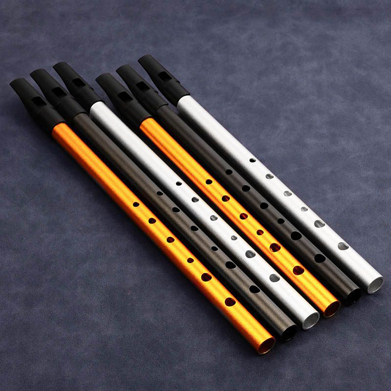 Autentica chiave C/D Irish Tin - Penny Whistle D recensione e prezzo