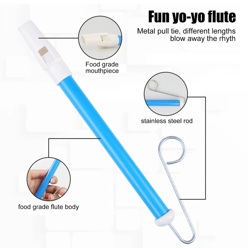 1PC strumento musicale diaposi - Musical Instrument Piccolo recensione e prezzo
