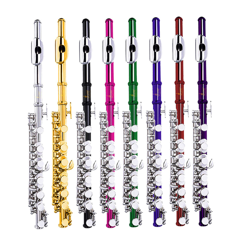 Piccolo Professionale in Do, C - Musical Instrument Piccolo recensione e prezzo