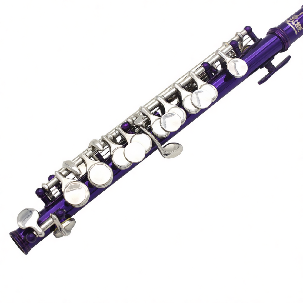 Piccolo Professionale in Do, C - Musical Instrument Piccolo recensione e prezzo