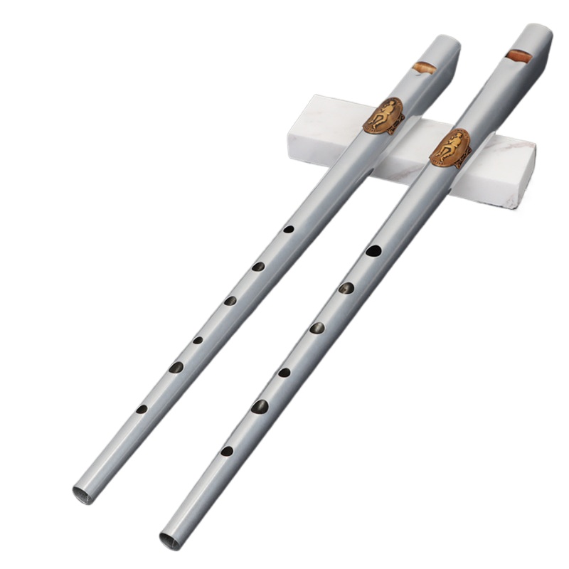 Chiave D/C Fischietto di latta - Tin Whistle Flute recensione e prezzo