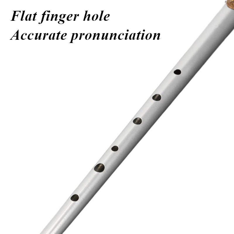 Chiave D/C Fischietto di latta - Tin Whistle Flute recensione e prezzo